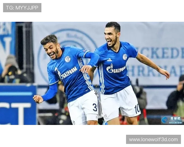 九游娱乐app不莱梅的赞助商选择标准与合作模式对球队发展的积极影响